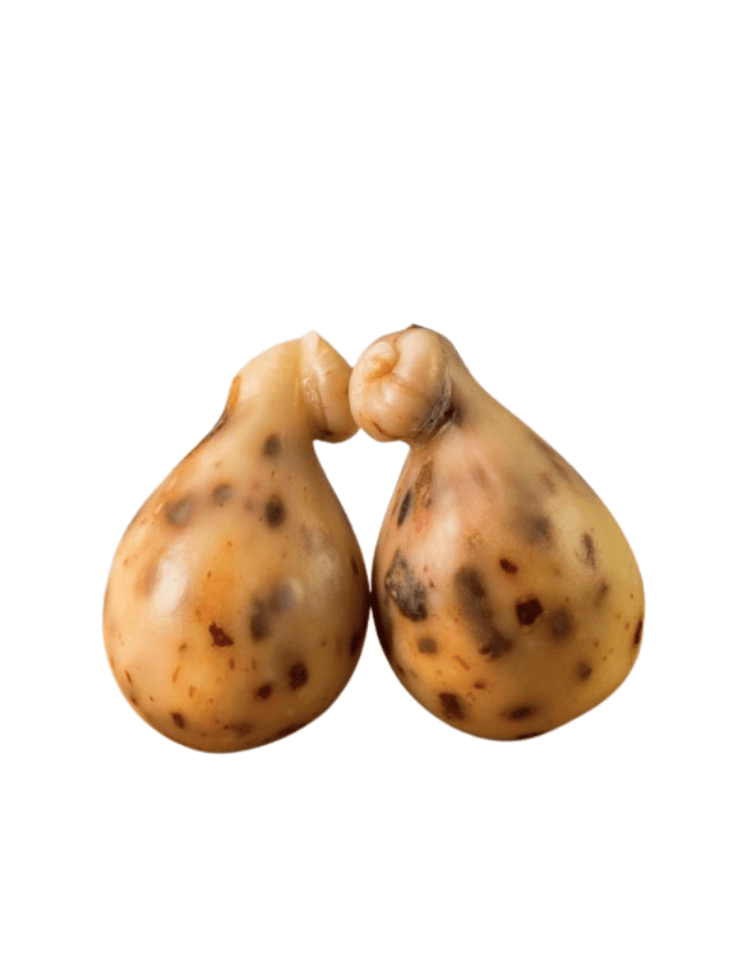 Scamorza z papryki Cruschi di Senise IGP Caseificio Petruzzi 300g