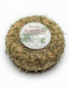 Pecorino stagionato sotto Rosmarino
