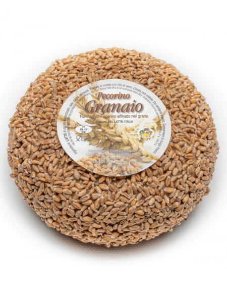 Pecorino Stagionato nel Grano