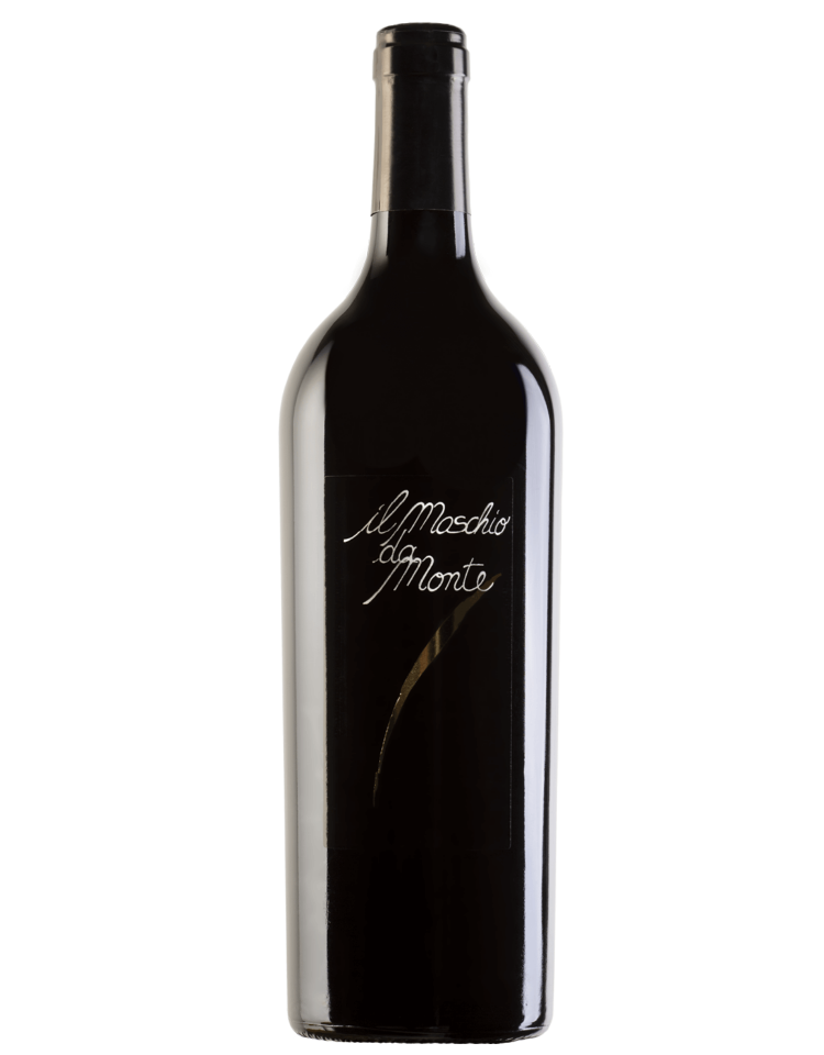 Rosso Piceno DOC Il Maschio da Monte Santa Barbara