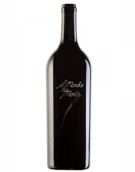 Rosso Piceno DOC Il Maschio da Monte Santa Barbara