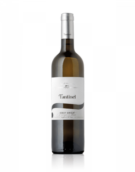 Pinot Grigio "Borgo Tesis" Fantinel